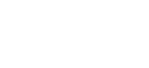 owlbert einstein owlbert einstein