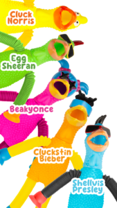 A variety of colorful rubber chickens that make up the chicken coop crew - part of the fall 2024 incentive prizes.