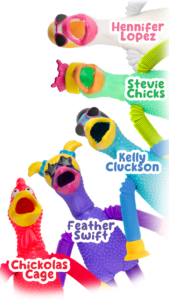 A variety of colorful rubber chickens that make up the chicken coop crew - part of the fall 2024 incentive prizes.